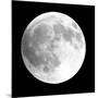 Moon Phase I-Gail Peck-Mounted Photographic Print