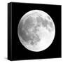 Moon Phase I-Gail Peck-Framed Stretched Canvas