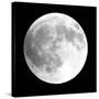 Moon Phase I-Gail Peck-Stretched Canvas