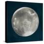 Moon Phase I-Tiffany Hakimipour-Stretched Canvas