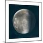 Moon Phase II-Tiffany Hakimipour-Mounted Premium Giclee Print