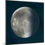 Moon Phase II-Tiffany Hakimipour-Mounted Art Print