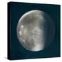 Moon Phase II-Tiffany Hakimipour-Stretched Canvas