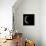 Moon Phase IV-Gail Peck-Framed Stretched Canvas displayed on a wall