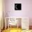 Moon Phase IV-Gail Peck-Photographic Print displayed on a wall