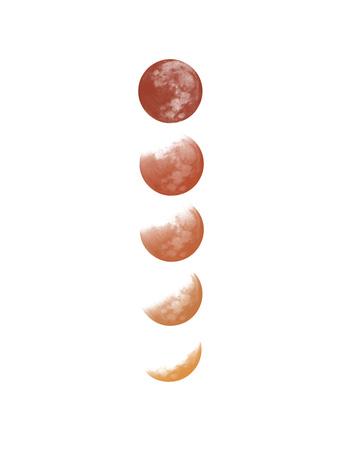 https://imgc.allpostersimages.com/img/posters/moon-phases_u-L-F9JMBU0.jpg?artPerspective=n