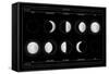 Moon Phases-null-Framed Stretched Canvas