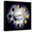 Moon Phases-Jasmine Becket-Griffith-Framed Stretched Canvas