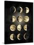 Moon Phases-Oliver Jeffries-Stretched Canvas