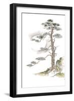 Moon Pine on White-Chris Paschke-Framed Art Print