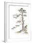 Moon Pine on White-Chris Paschke-Framed Art Print