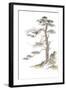 Moon Pine on White-Chris Paschke-Framed Art Print