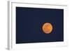 Moon Rise of the Super Moon, Savannah, Georgia, USA-Joanne Wells-Framed Photographic Print