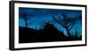 Moon Rises as Dawn Light Illuminates the Skeletons of Whitebark Pine, Lewis Range, Montana-Steven Gnam-Framed Photographic Print