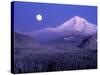 Moon Rises Over Mt. Hood, Oregon Cascades, USA-Janis Miglavs-Stretched Canvas