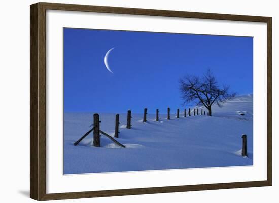 Moon Rising over a Snowy Landscape with a Single Tree and a Fenc-Sabine Jacobs-Framed Photographic Print