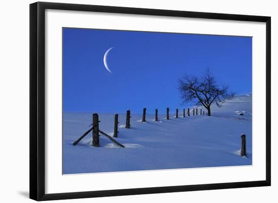 Moon Rising over a Snowy Landscape with a Single Tree and a Fenc-Sabine Jacobs-Framed Photographic Print