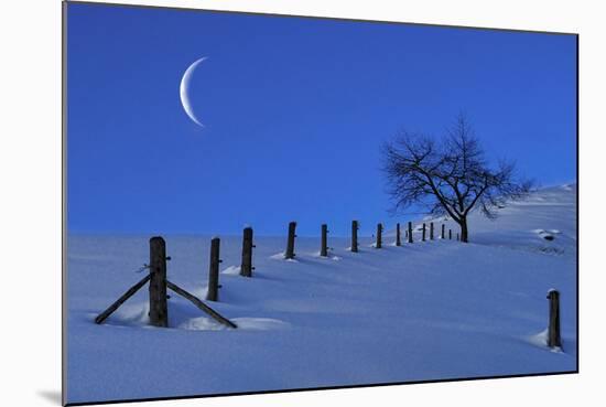 Moon Rising over a Snowy Landscape with a Single Tree and a Fenc-Sabine Jacobs-Mounted Photographic Print