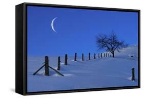 Moon Rising over a Snowy Landscape with a Single Tree and a Fenc-Sabine Jacobs-Framed Stretched Canvas