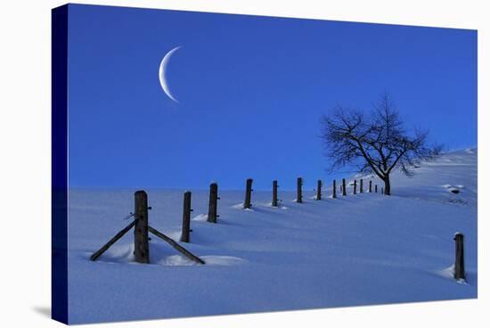 Moon Rising over a Snowy Landscape with a Single Tree and a Fenc-Sabine Jacobs-Stretched Canvas