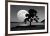 Moon Rising Over the Sea-Detlev Van Ravenswaay-Framed Photographic Print