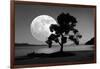 Moon Rising Over the Sea-Detlev Van Ravenswaay-Framed Photographic Print