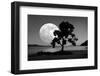 Moon Rising Over the Sea-Detlev Van Ravenswaay-Framed Photographic Print