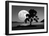 Moon Rising Over the Sea-Detlev Van Ravenswaay-Framed Photographic Print