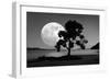 Moon Rising Over the Sea-Detlev Van Ravenswaay-Framed Photographic Print