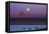 Moon Rising over Tower Butte. Arizona, Lake Powell and Houseboats-David Wall-Framed Stretched Canvas