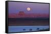 Moon Rising over Tower Butte. Arizona, Lake Powell and Houseboats-David Wall-Framed Stretched Canvas