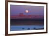 Moon Rising over Tower Butte. Arizona, Lake Powell and Houseboats-David Wall-Framed Photographic Print