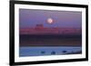 Moon Rising over Tower Butte. Arizona, Lake Powell and Houseboats-David Wall-Framed Photographic Print