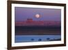 Moon Rising over Tower Butte. Arizona, Lake Powell and Houseboats-David Wall-Framed Photographic Print