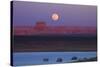 Moon Rising over Tower Butte. Arizona, Lake Powell and Houseboats-David Wall-Stretched Canvas