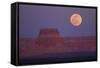 Moon Rising over Tower Butte. Arizona, United States-David Wall-Framed Stretched Canvas