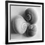 Moon Sea Shell-John Harper-Framed Giclee Print