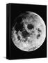 Moon Seen from Apollo 11-null-Framed Stretched Canvas