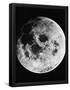 Essential Black