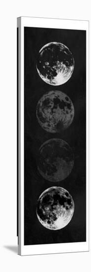 Moon Shade Black-Milli Villa-Stretched Canvas