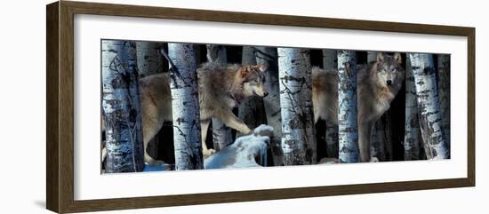 Moon Shadows 2-Gordon Semmens-Framed Photographic Print