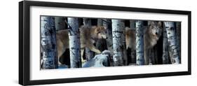 Moon Shadows 2-Gordon Semmens-Framed Photographic Print