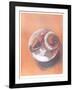 Moon Shell-Jill O'Connell-Framed Limited Edition