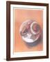 Moon Shell-Jill O'Connell-Framed Limited Edition