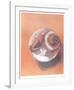 Moon Shell-Jill O'Connell-Framed Limited Edition