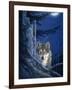 Moon Shine-Joh Naito-Framed Giclee Print