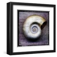 Moon Snail-John Golden-Framed Giclee Print