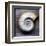 Moon Snail-John Golden-Framed Giclee Print