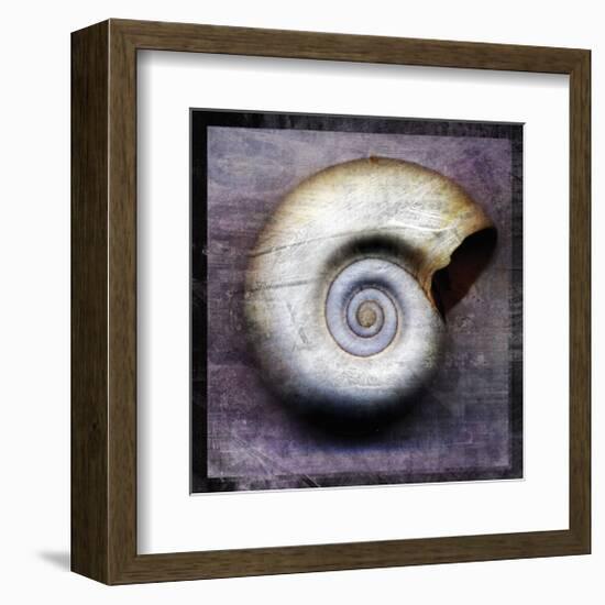 Moon Snail-John Golden-Framed Giclee Print