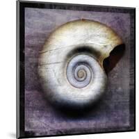 Moon Snail-John Golden-Mounted Giclee Print